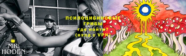 меф Лабытнанги