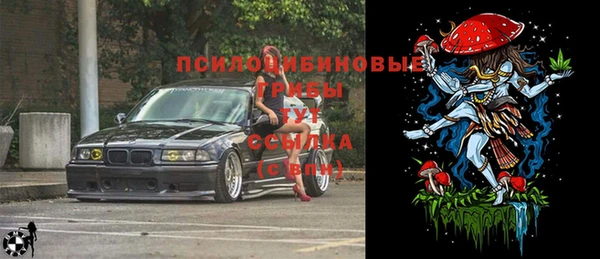 герыч Лагань