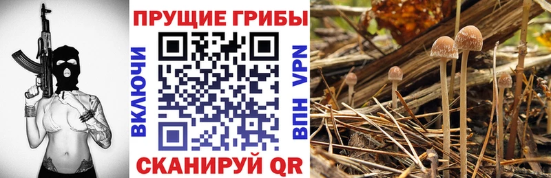 Псилоцибиновые грибы ЛСД  Купить  Краснотурьинск 